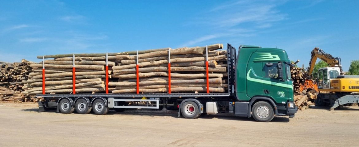 Šumarska poluprikolica PPSM 39 za Sparrow