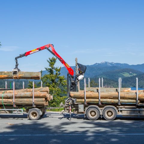 ŠUMARSKE I RECYCLING DIZALICE